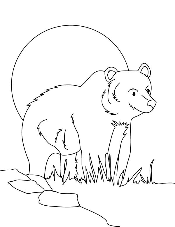 600x776 Brown Bear Sneaking Behind Grass Coloring Pages Best Place To Color