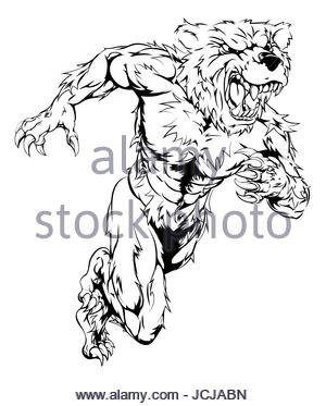 300x373 Cartoon Brown Bear. Grizzly Bear And Brown Bear Isolated, Vector