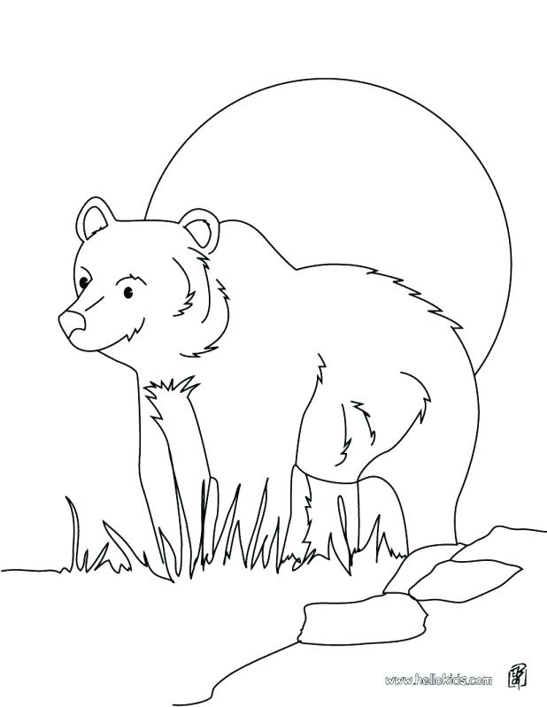 618x799 Coloring Bear Grizzly Bear Coloring Page Teddy Picnic Pages Bears