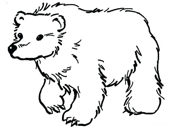 Brown Bear Line Drawing at GetDrawings | Free download