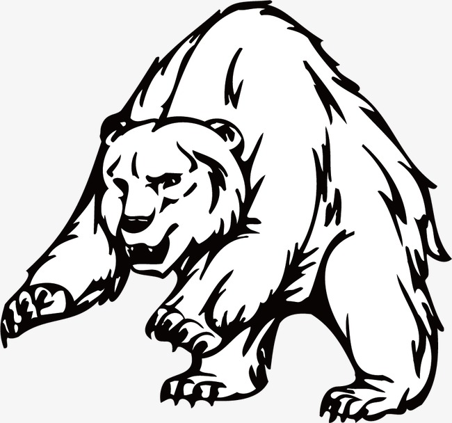 650x608 Bear, Line Drawing, Black And White, Line Png Image For Free Download