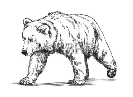 450x328 Bear Head Stock Photos. Royalty Free Business Images