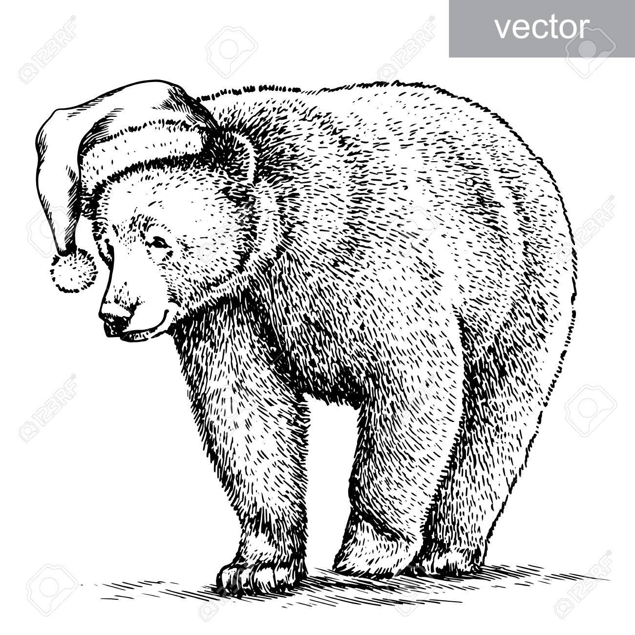 1300x1300 Brown Bear, Black And White Engrave. Christmas Hat. Vector Royalty