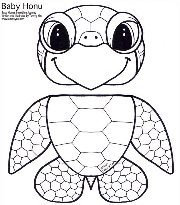 576x653 Image Result For Best Outline Printable Of Sea Turtle Coloring