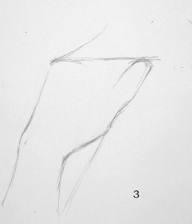 646x753 Right Brain Left Brain In Drawing Portrait Artist