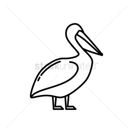 450x450 Free Pelican Stock Vectors Stockunlimited