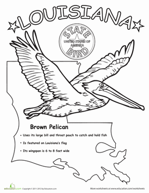 301x389 Louisiana State Bird Worksheet