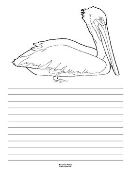 270x350 Louisiana State Bird Notebooking Set (Brown Pelican) By Creations