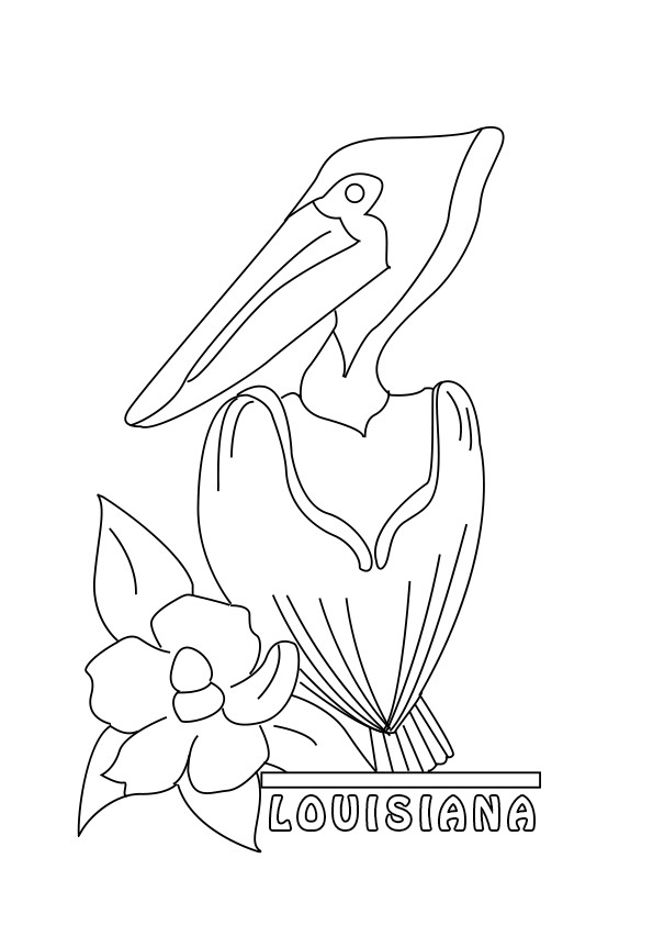 595x842 Pelican Coloring Pages