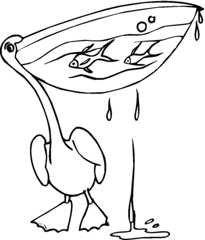 410x480 Pelican With Eat Fish Coloring Page