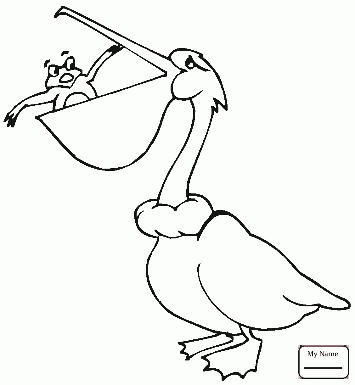 1128x1224 Birds Magnolia And Brown Pelican Louisiana State Flower And Bird