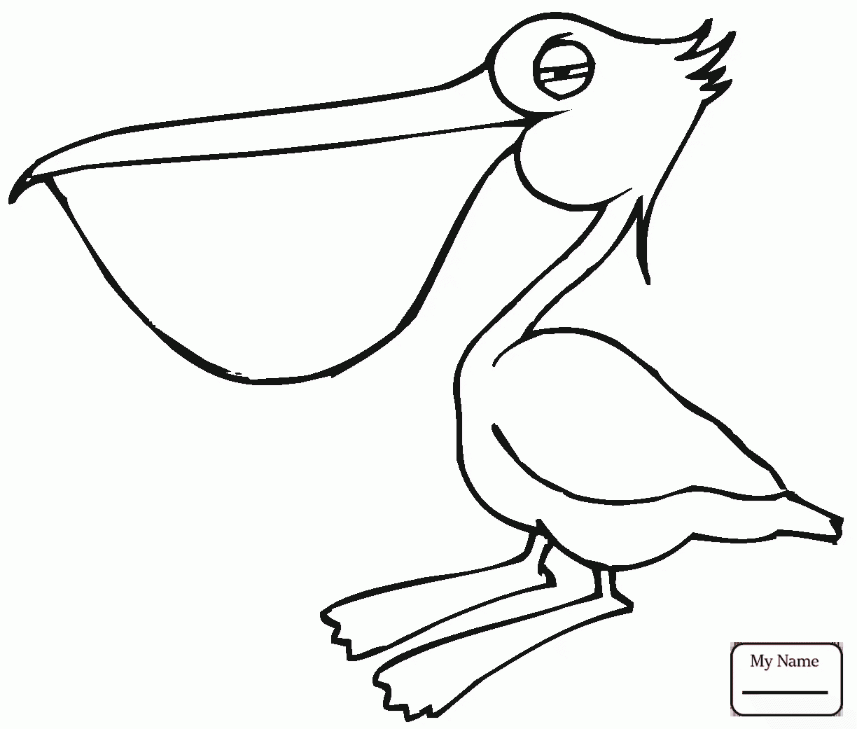 1224x1041 Birds Pelican 19 Pelicans Coloring Pages For Kids