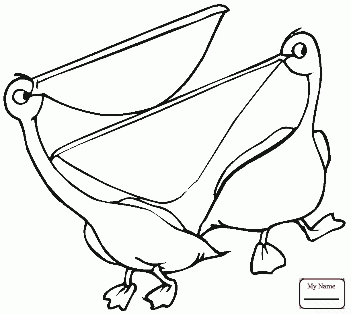 1224x1094 Birds Pelicans Brown Pelican In Flight Pelicans Coloring Pages