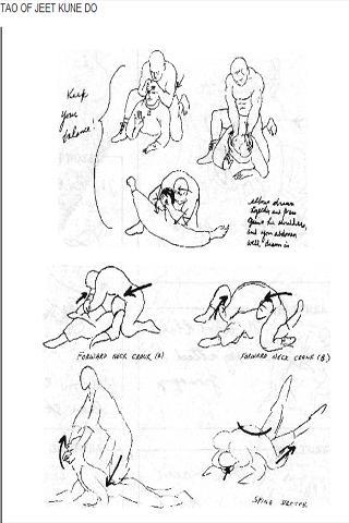 320x480 Jeet Kune Do Martial Arts Martial And Bruce Lee