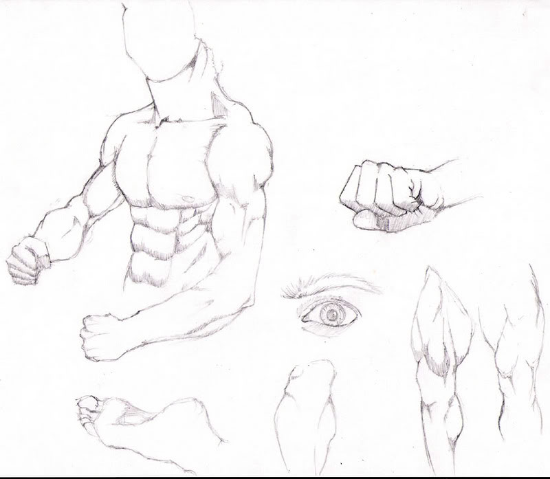 800x697 My Most Organized Sketchbook (Updated 13 May 2007)