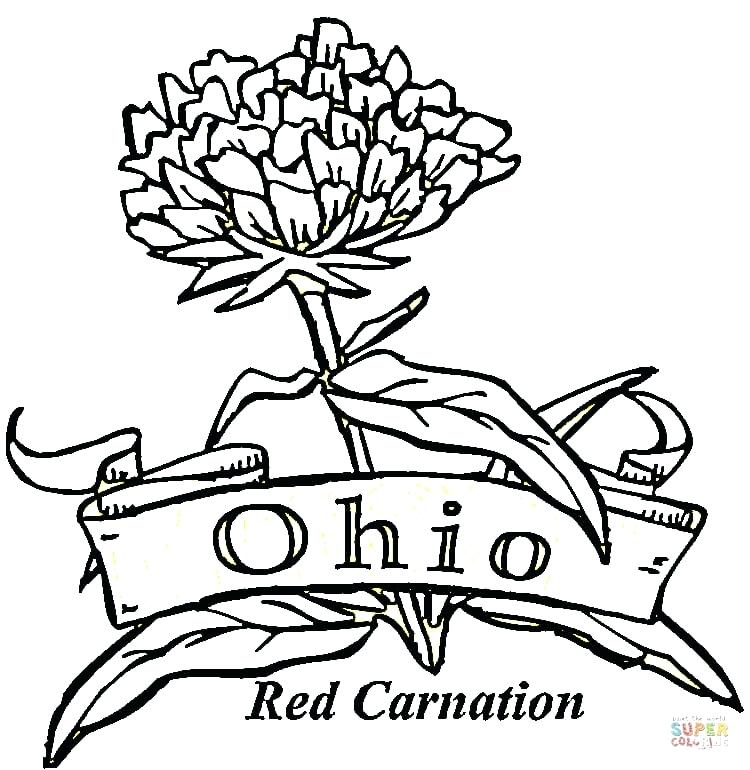 750x770 Ohio State Coloring Pages