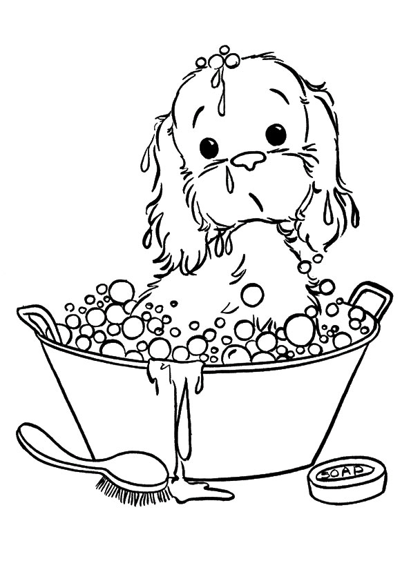 595x842 Puppy Taking In Bubble Bath With Cute Face