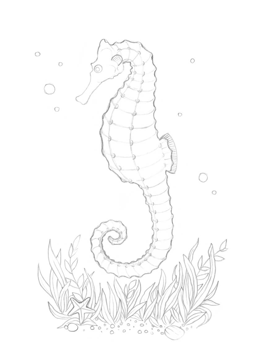 850x1163 How To Draw A Seahorse With Black And Grey Ink Liners