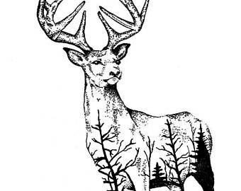 340x270 Deer Drawing Etsy