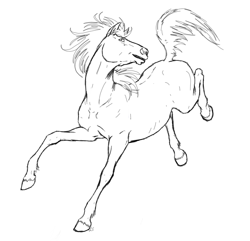 802x773 Playful Buck Lineart By Deathcomes4u