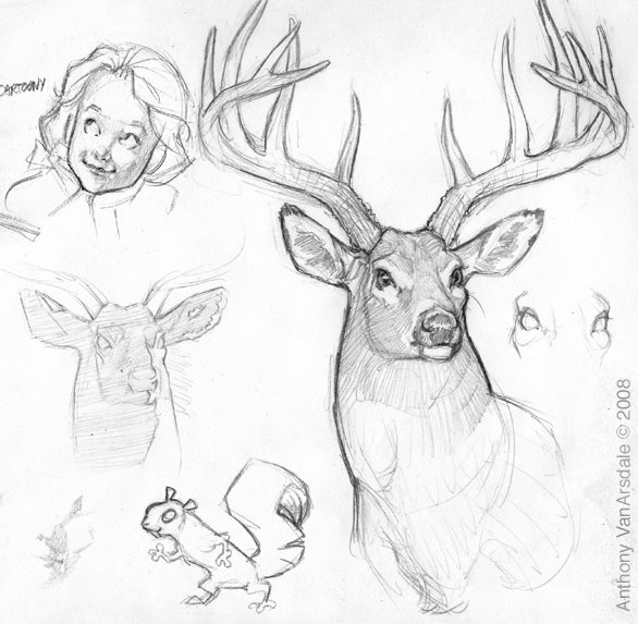 586x573 This Is A Nice Sketch Of A Male Deer With Antlers, Drawn By