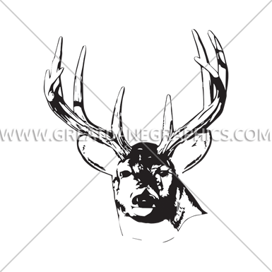 385x385 Deer Head Stare Production Ready Artwork For T Shirt Printing