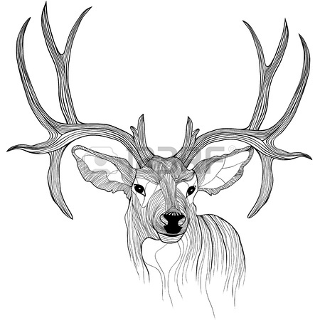450x450 Deer Head Animal Illustration For T Shirt Sketch Tattoo Design