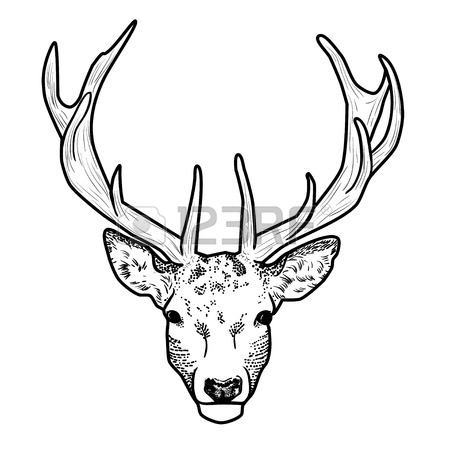 450x450 Graphic Cartoon Deer Head With Rokami Isolated On White Background