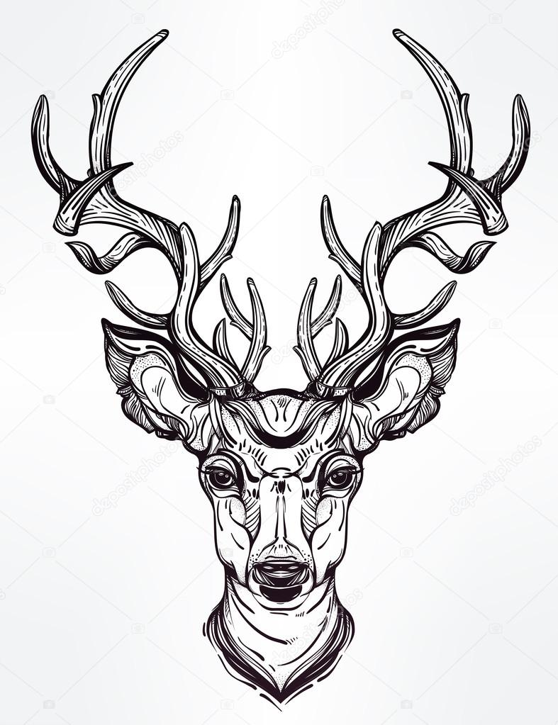 787x1023 Reindeer Head Drawing