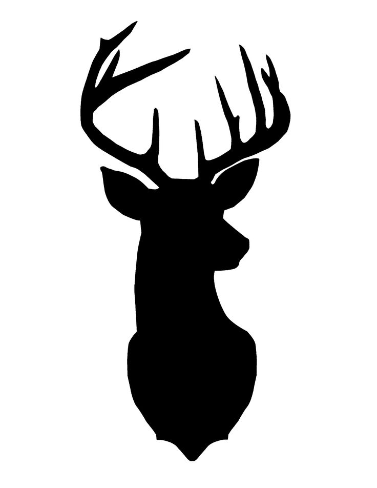 736x952 Staggering Deer Head Clipart 69 On Clipart Free Download With Deer