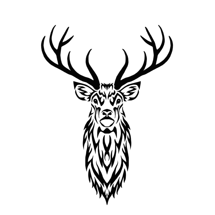 894x894 Tribal Stag Ii By Hareguizer