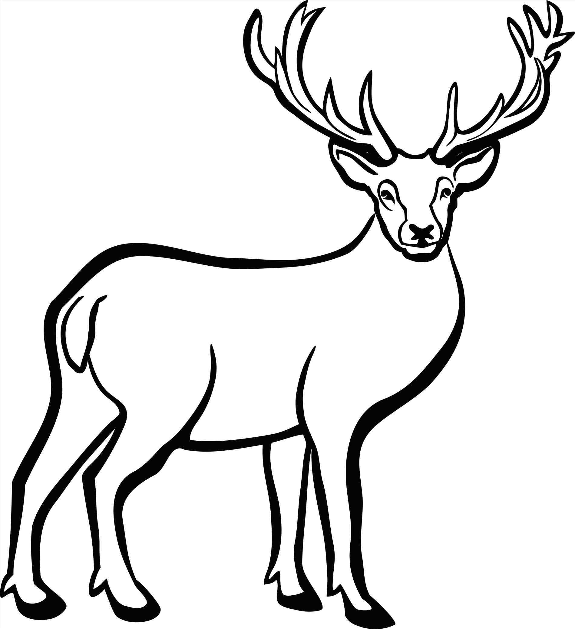 1899x2074 Of Skulls Download Clip Art Of Deer Buck Drawings Black And White