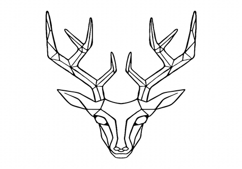 476x333 Deer Head Coloring Geometric