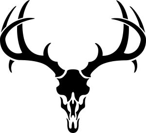 300x274 Deer Skull Graphics Clipart 2234284