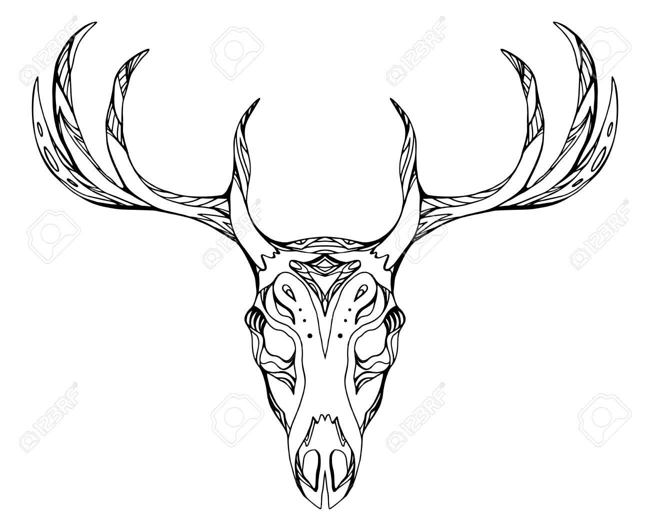 1300x1063 Contour Illustration Of A Deer Skull With Antlers With Boho