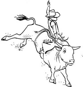 289x300 Bucking Bull Drawings