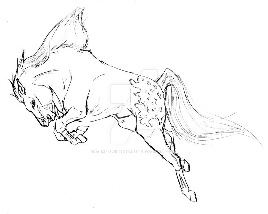 900x721 Bucking Mustang By Arabis Wild Horses