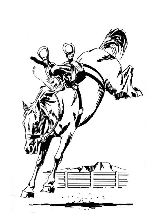 531x750 Coloring Page Bucking Horse