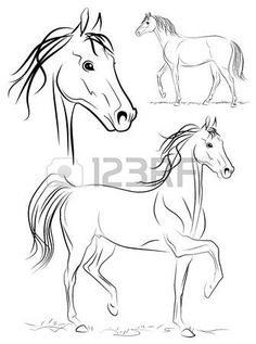 236x317 Rearing Horse Coloring Pages Vector Of A Cartoon Bucking Horse