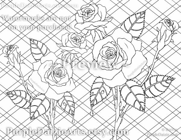 600x464 Adult Roses Coloring Page Printable Colour Digital Color Sheet