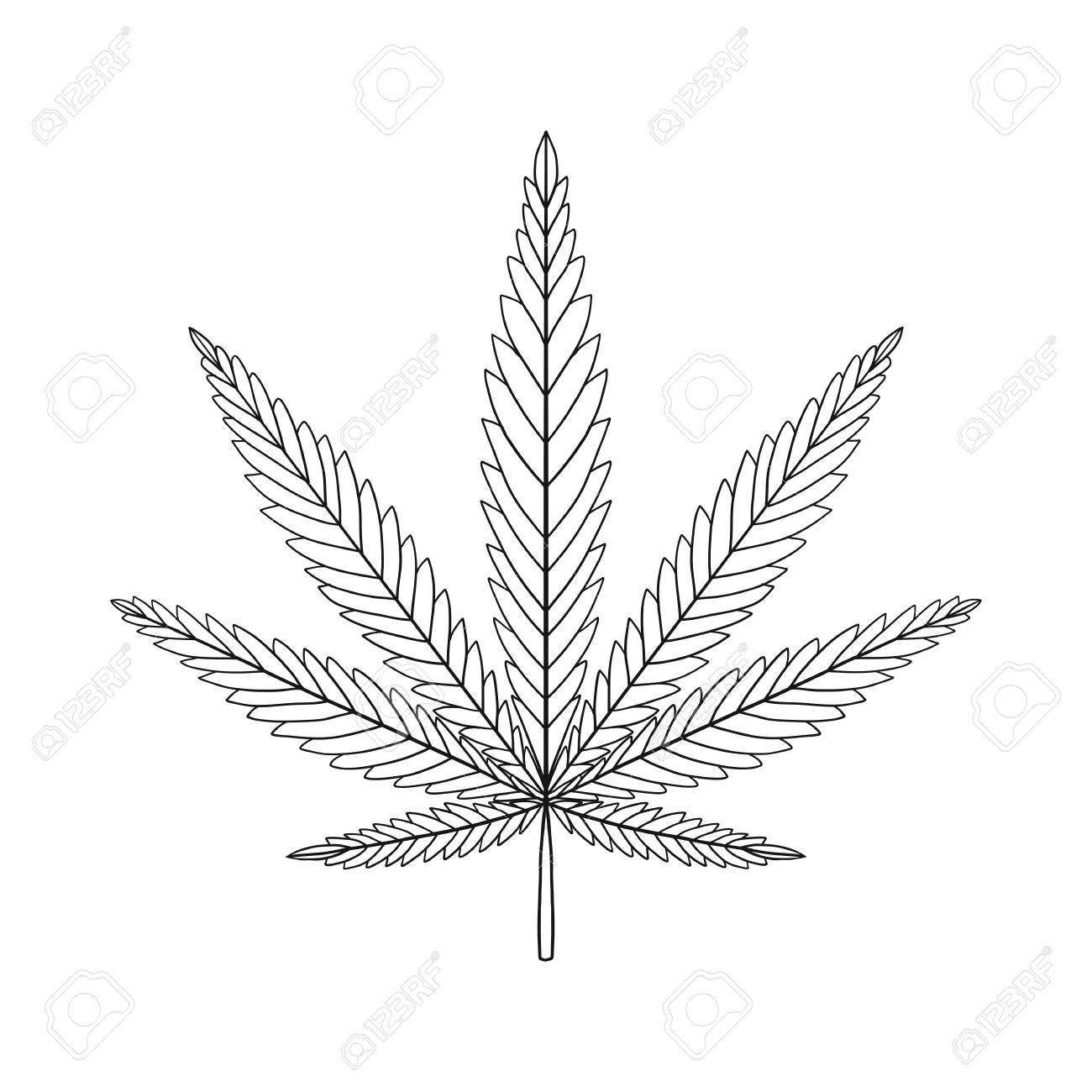 1300x1300 Decorative Cannabis Leaf Isolated On White Background. Marijuana