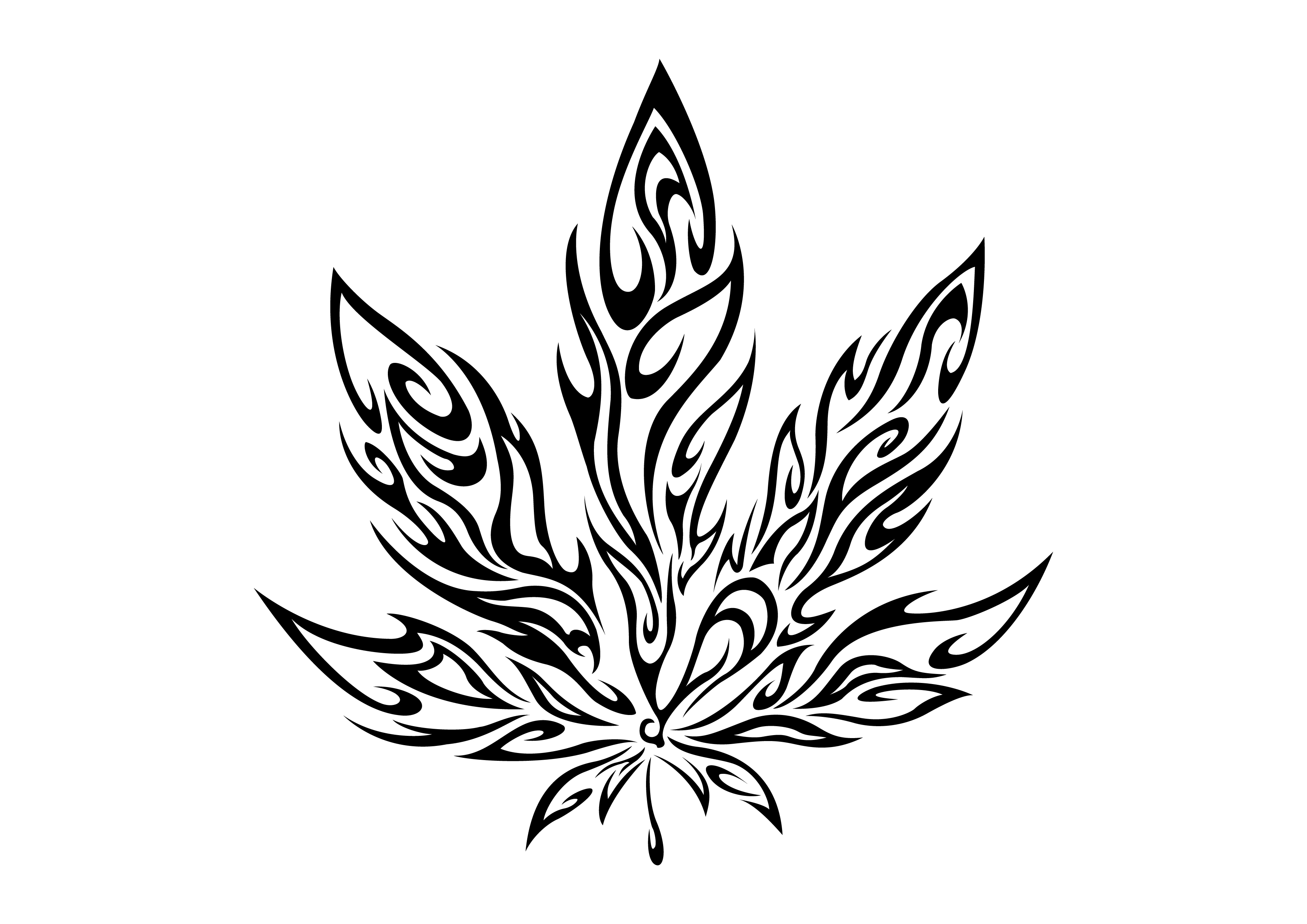 3508x2480 Drawing Of Pot Leaf Drawn Weed Leaf Stencil