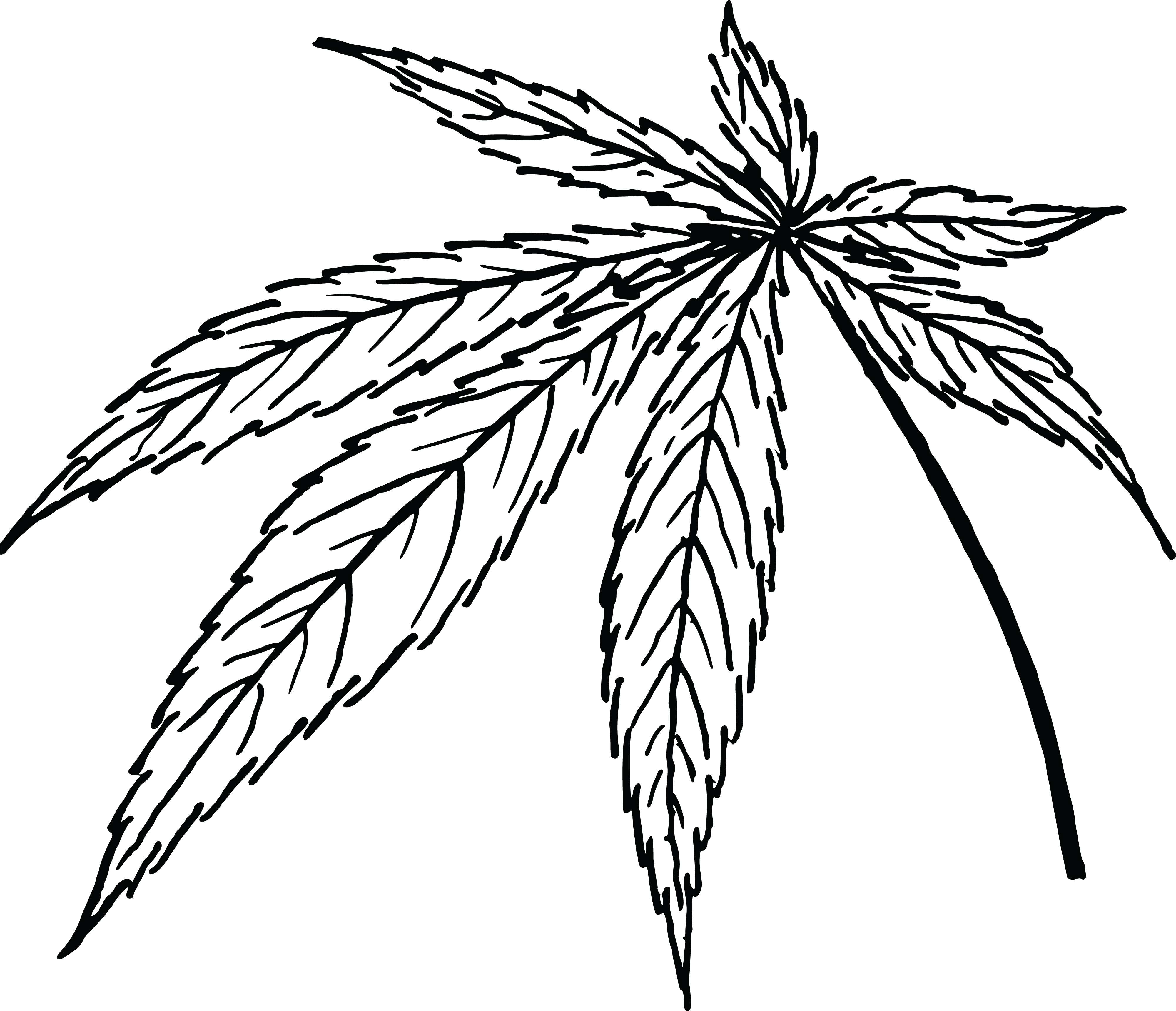 4000x3438 Free Clipart Of A Cannabis Leaf