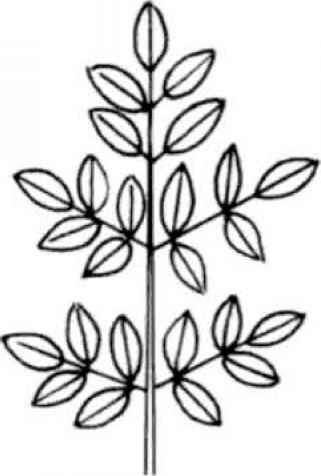 321x476 How To Use This Book