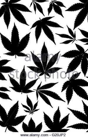 300x469 Black And White Marijuana Leaf (Cannabis Stock Photo 82041864