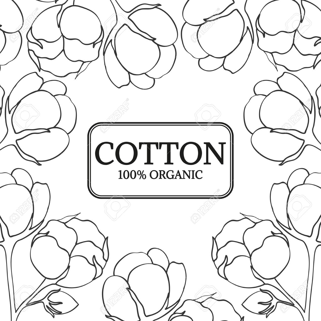 1300x1300 Organic Cotton Shop, Bud, Leaf, Flower Hand Drawn Template