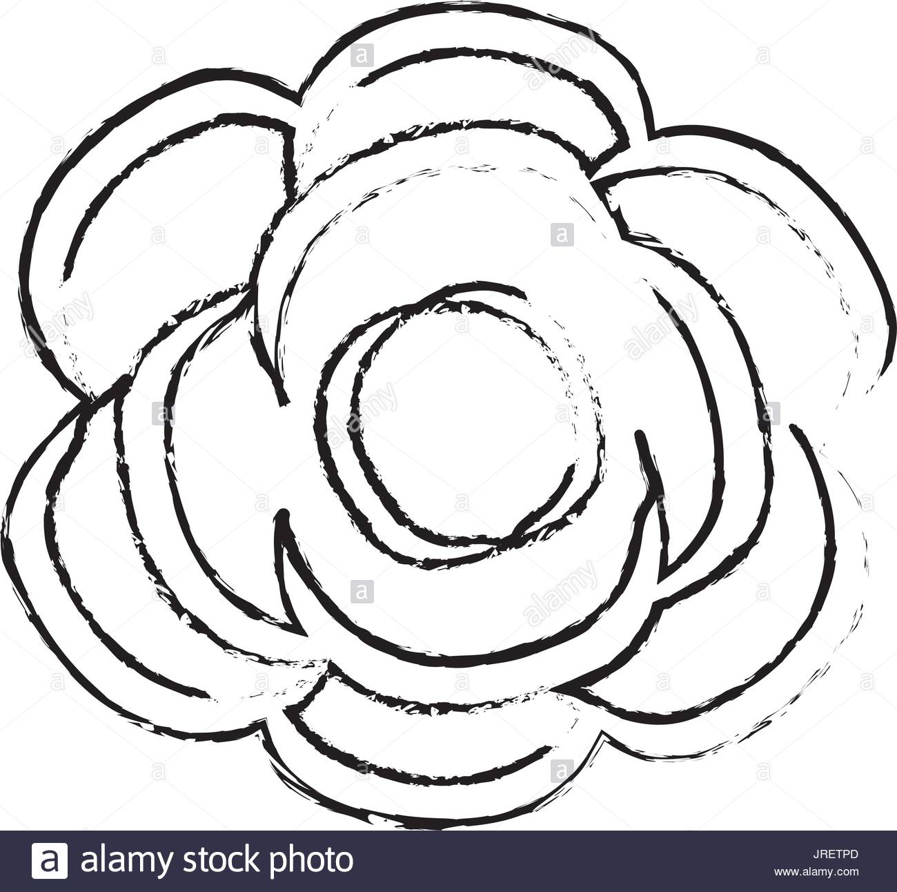 1300x1292 Bud Black And White Stock Photos Amp Images