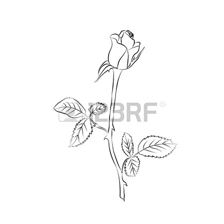 450x450 Bud Images Amp Stock Pictures. Royalty Free Bud Photos And Stock