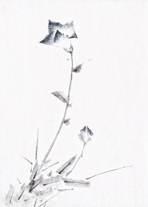 214x300 Bud Light Paintings