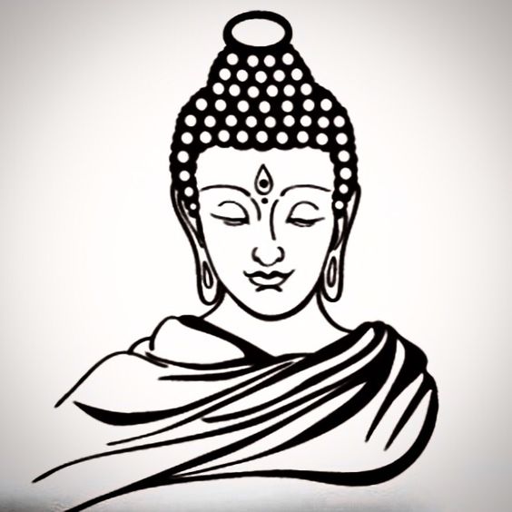 564x564 Elefante Vetor